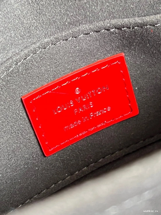 WIS VUITTON LOUIS DAUPHINE MINI 1119